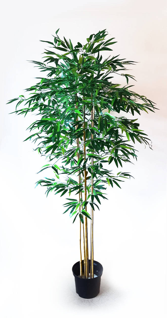 

Дерево искусственное - Бамбук 170см