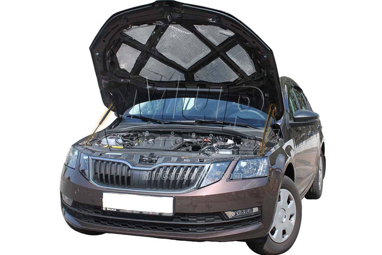 

Газовый упор капота Skoda Oсtavia A7 (2013+) (2 шт)