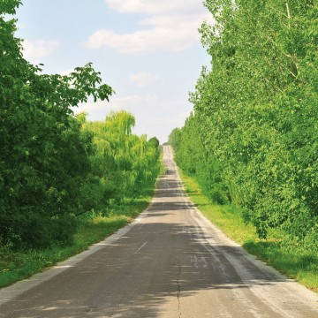 

Вінілові фотошпалери на флізеліновій основі
