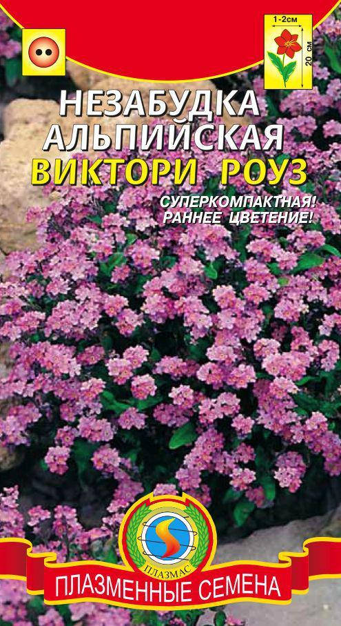 

Незабудка альпийская Виктори Роуз 0,1 г (Плазменные семена)