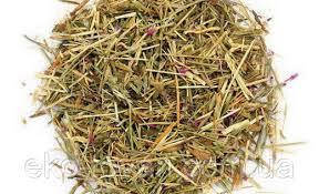 

Золототысячник трава (цинтория) 100 грамм