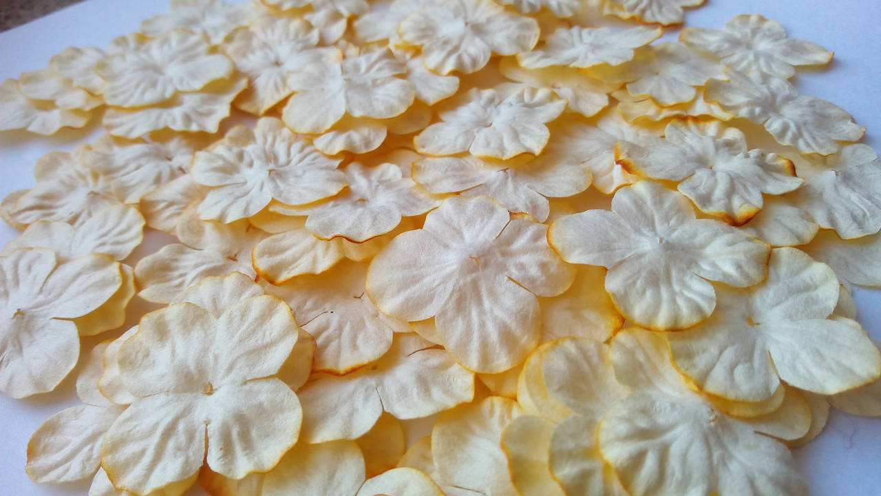 

Цветы "Гортензия" Поштучно