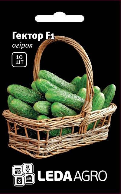 

Огурец Гектор F1 - 10 сем. L (Нунемс / Nunhems)