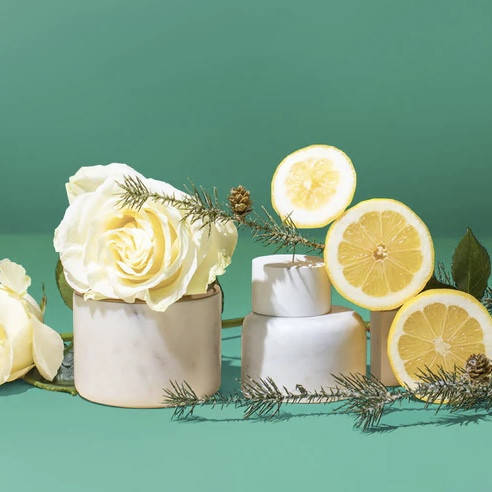 

Gilded rose + spruce / Позолоченная роза и елка, 10 г