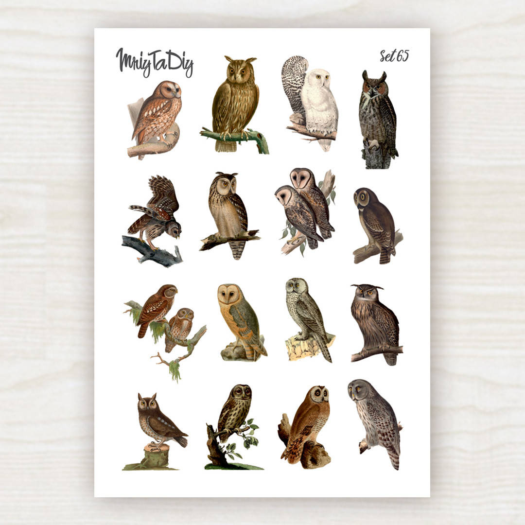 

Стикеры Set 65 MriyTaDiy, Белый