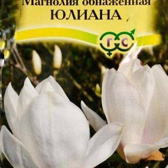

Магнолия обнаженная "Юлианна"