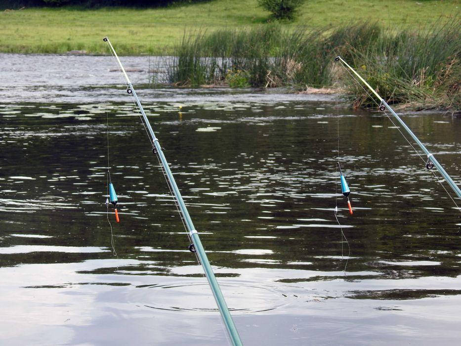 

Набор Удочка поплавочная в сборе "Поплавчанка" 2 шт+Подарок! 3.0, Черный