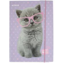 

Папка для тетрадей на резинке Kite 22-210 Studio pets
