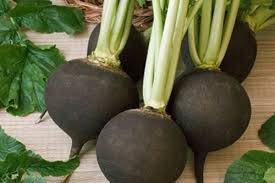 

Семена редьки "Чёрная зимняя"