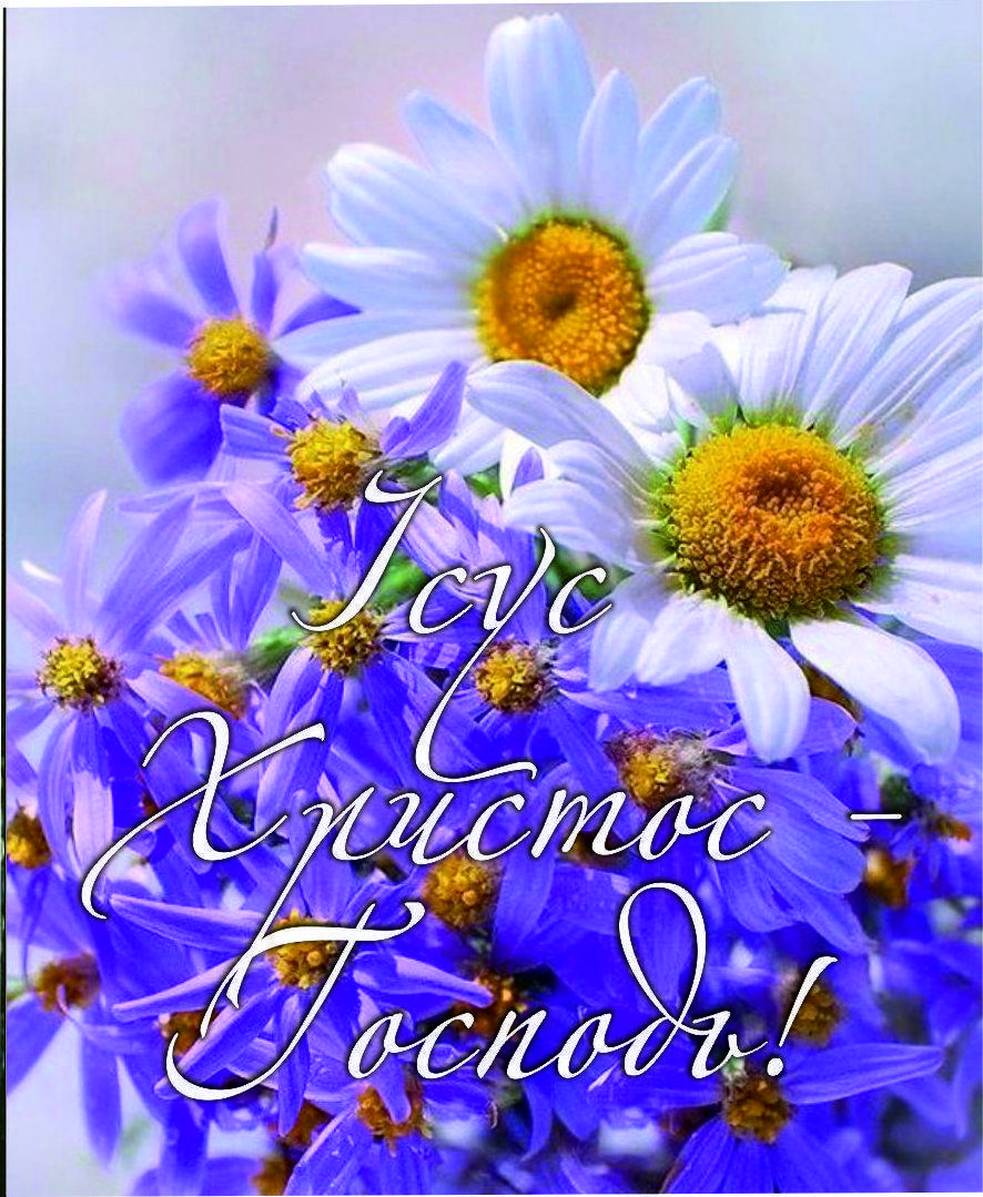 

Міні-листівка: Ісус Христос Господь! #177