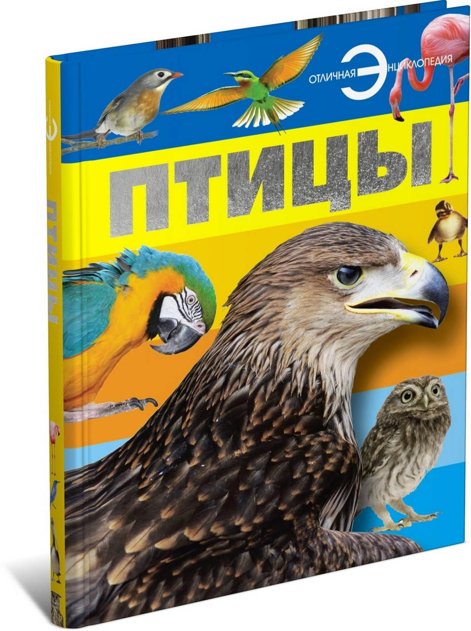 

Птицы