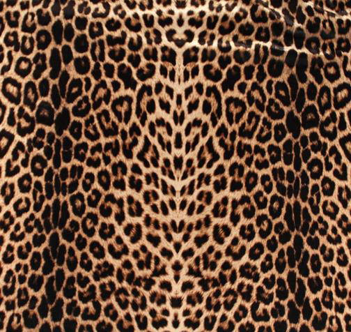 

ANIMAL PRINT ON LYCRA Chrisanne Clover 1м
