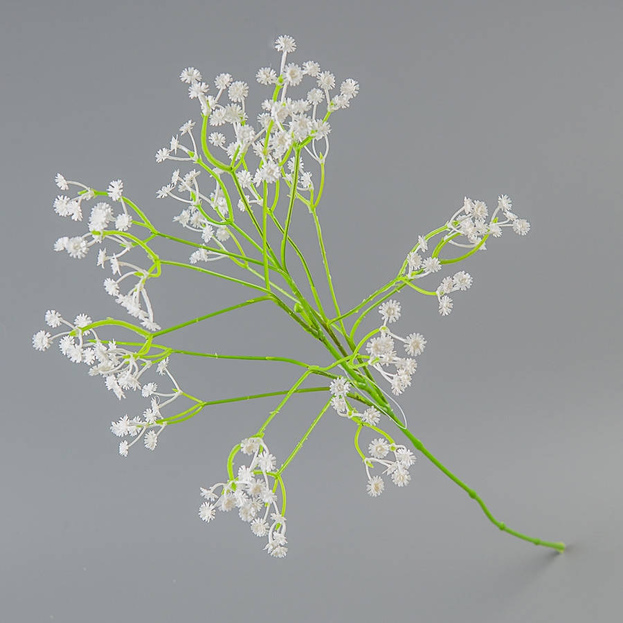 

Гипсофила (70 см)