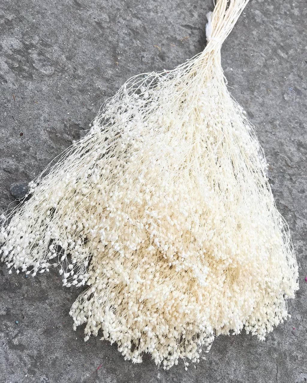 

Бром блом