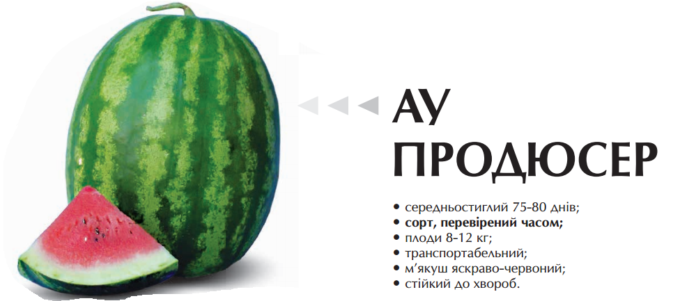 

Семена арбуза Ау Продюсер 50 грамм Agri Saaten