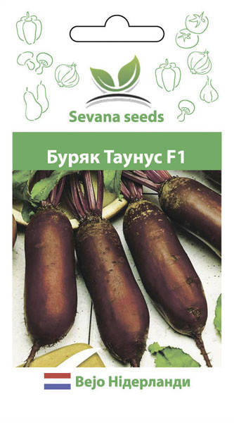

Семена свеклы цилиндра Таунус F1 200 шт. Bejo