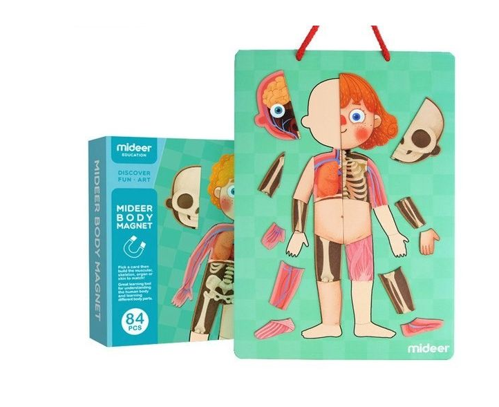

Магнитный пазл "Тело человека" MiDeer Toys, Разные цвета