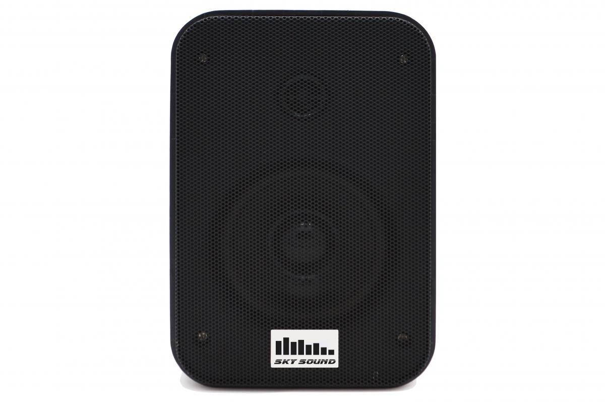 

Настенная акустика SKY SOUND PM-2401TB