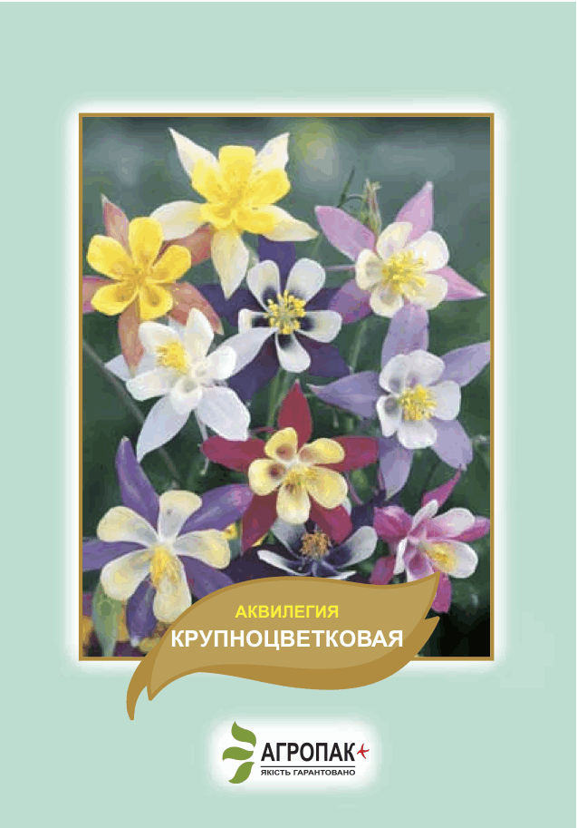 

Семена цветов Аквилегия крупноцветковая 0,2 г. Агропак плюс, Разные цвета