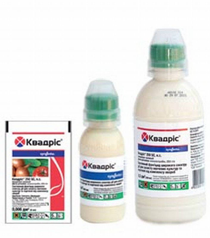 

Фунгицид Квадрис 100 мл Syngenta