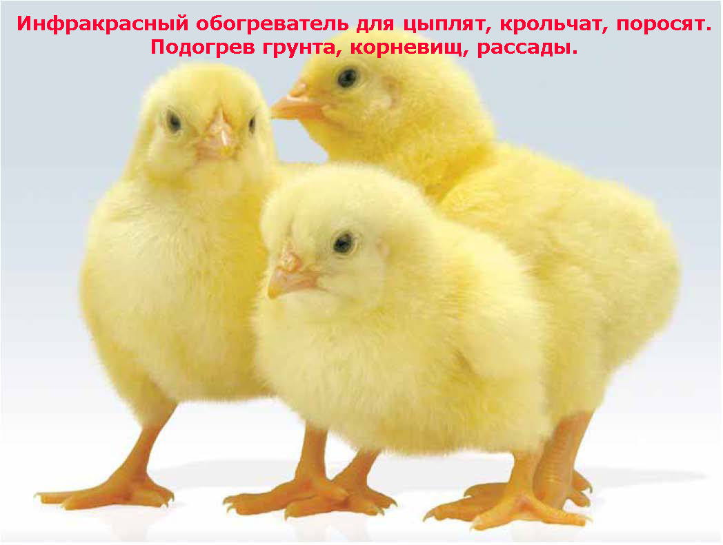

Електричний килимок-сушарка 50х25 (підігрів для курчат, грунту, сушарка для фруктів, грибів, ягід) 25Вт