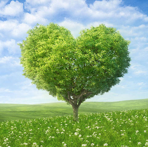 

Алмазная мозаика "Вечнозелёное древо", 30*40см, без рамки, в кор. 40*8*5см