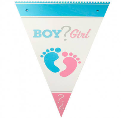 

Гирлянда-флажки Girl or Boy F-9035368