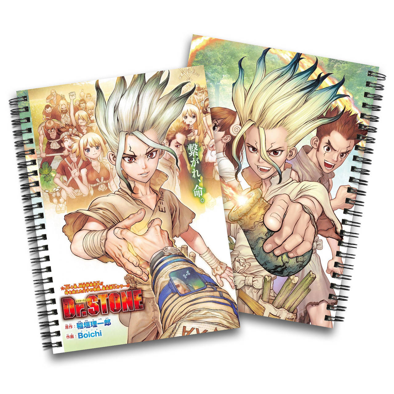

Скетчбук Доктор Стоун | Dr. Stone 01