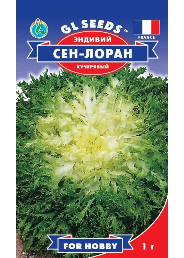 

Эндивий Сен-Лоран, 1 грамм