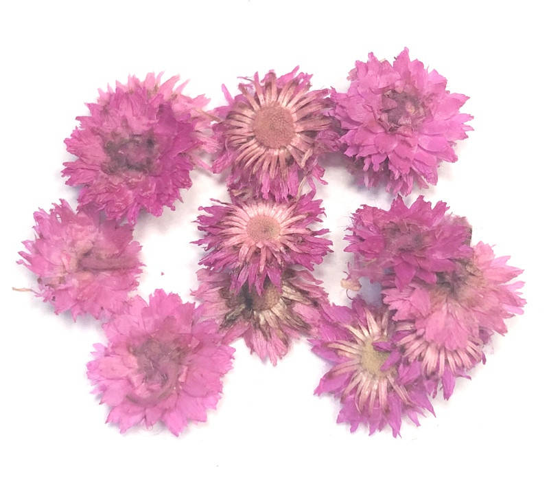 

Сухоцветы №18, Разные цвета