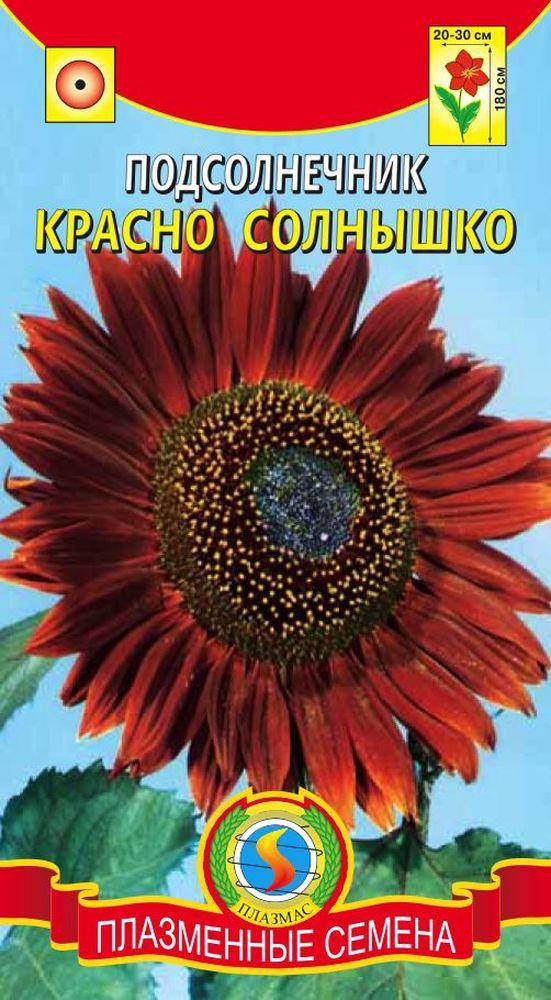 

Подсолнечник Красно солнышко 10 шт (Плазменные семена)