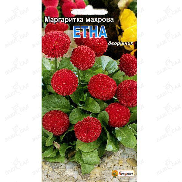 

Маргаритка махровая Етна 0,1 г, Красный