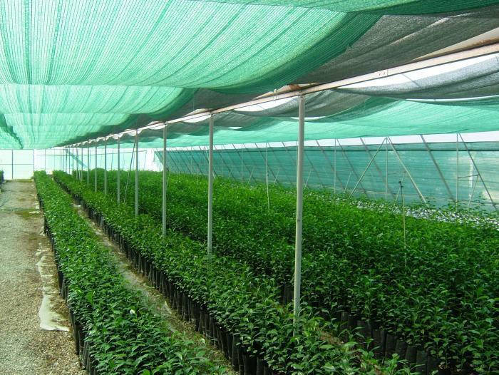 

Затіняюча сітка 85% Agreen, ширина 6 м