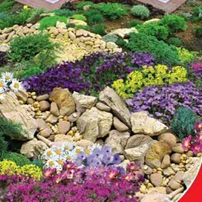 

Семена Цветочная смесь Альпийская горка 0,5г GL Seeds (1841), Разные цвета