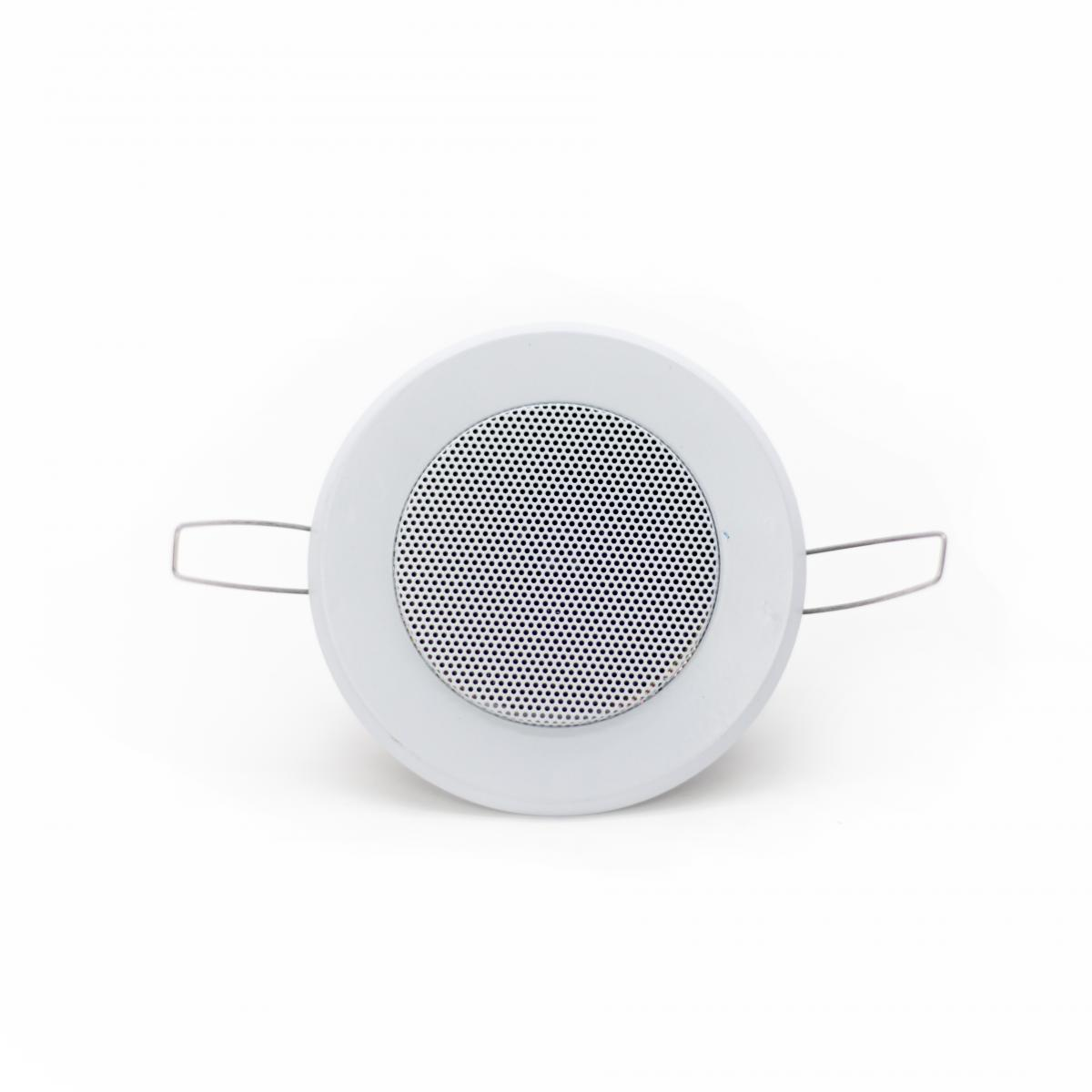 

Потолочный динамик SKY SOUND TS-1010TW
