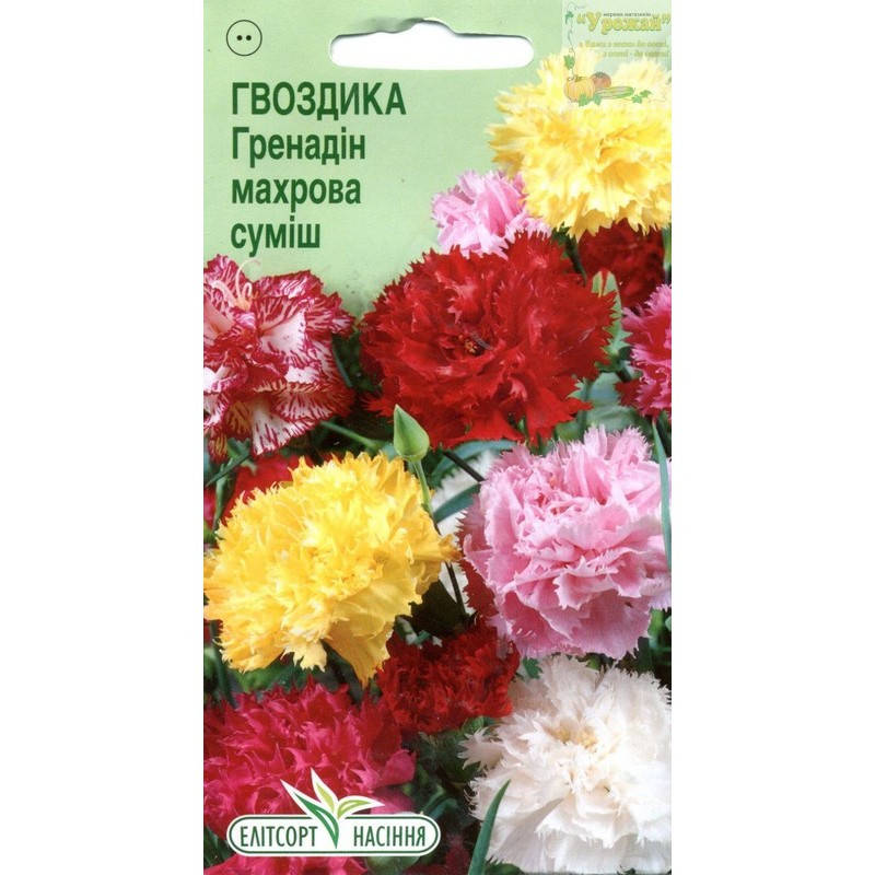 

Семена цветы Гвоздика Гренадин махровая смесь, 0,1 г