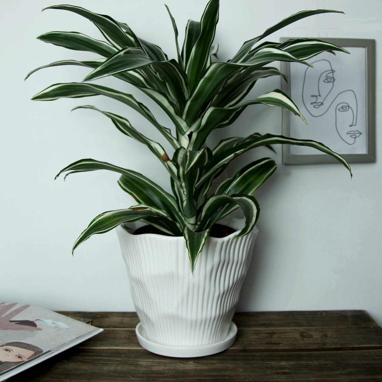 

Горшок керамический для цветов "Чертополох" белый 3.3л Rezon Р275