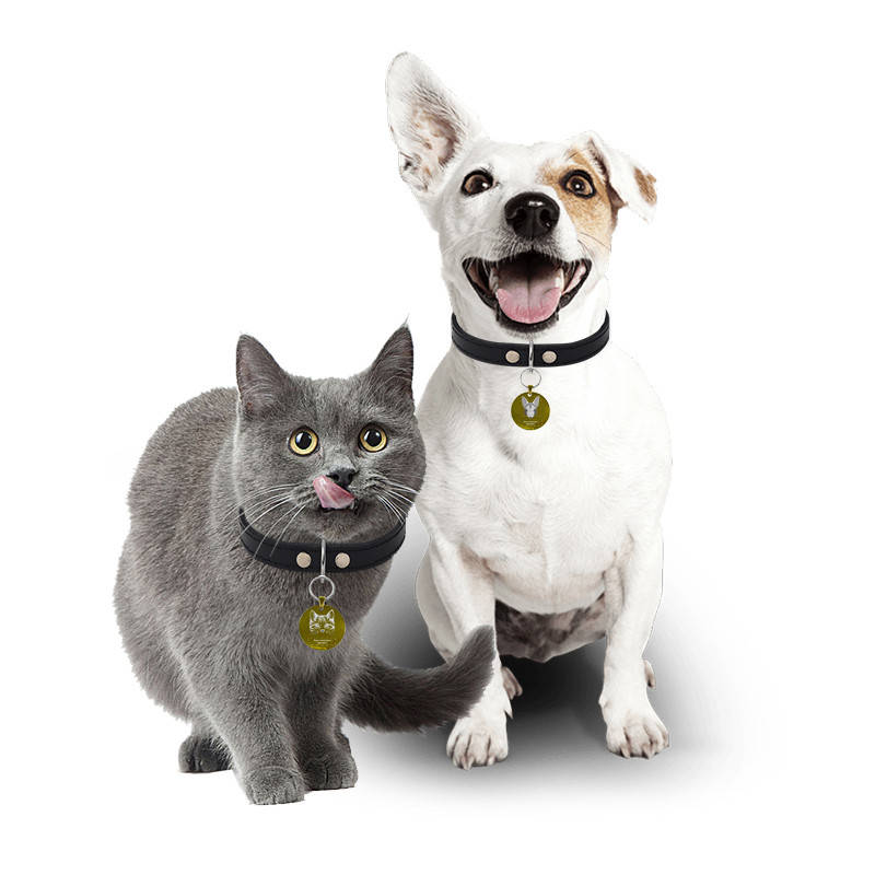 

Медальон-адресник на ошейник для домашних животных Manulife Круг Gold 3,5, Золотистый