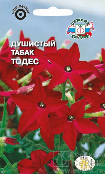 

Семена Табак Душистый Тодес 0,1 грамма Седек, Красный