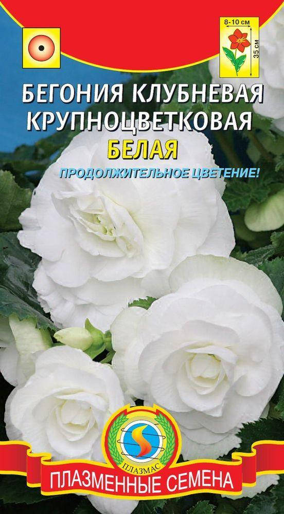 

Бегония крупноцветковая Белая 5 драже в пробирке (Плазменные семена), Белый