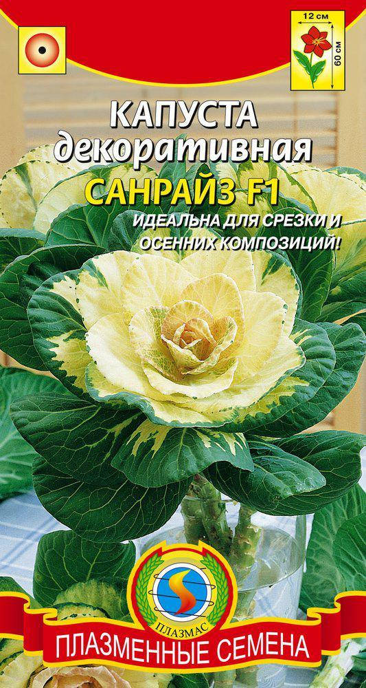 

Капуста декоративная Санрайз F1 10 шт (Плазменные семена)