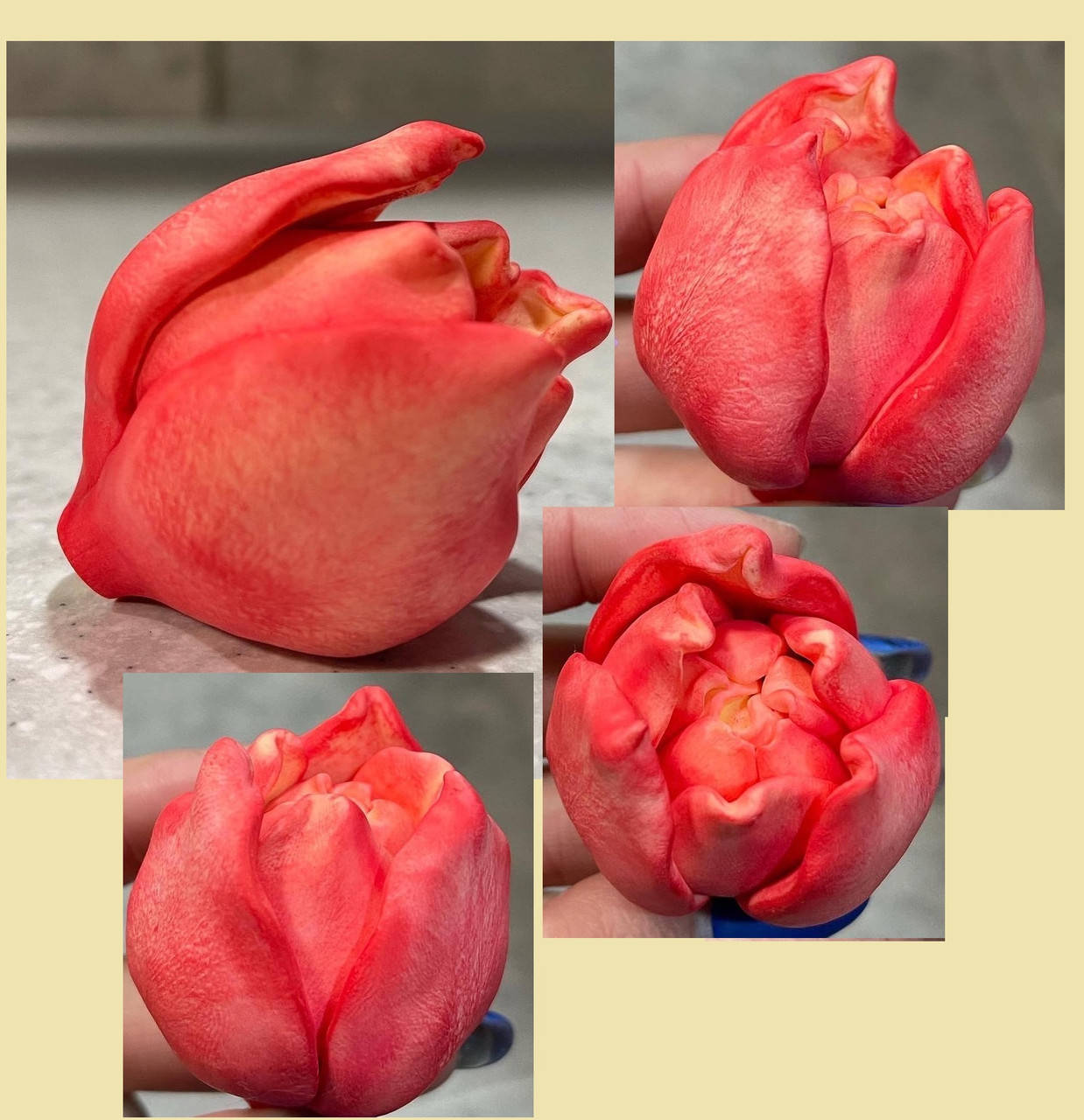 

Авторский силиконовый молд "Головка тюльпана №10"