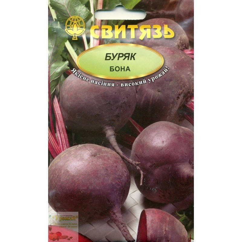 

Семена свекла столовая Бона, 10 г