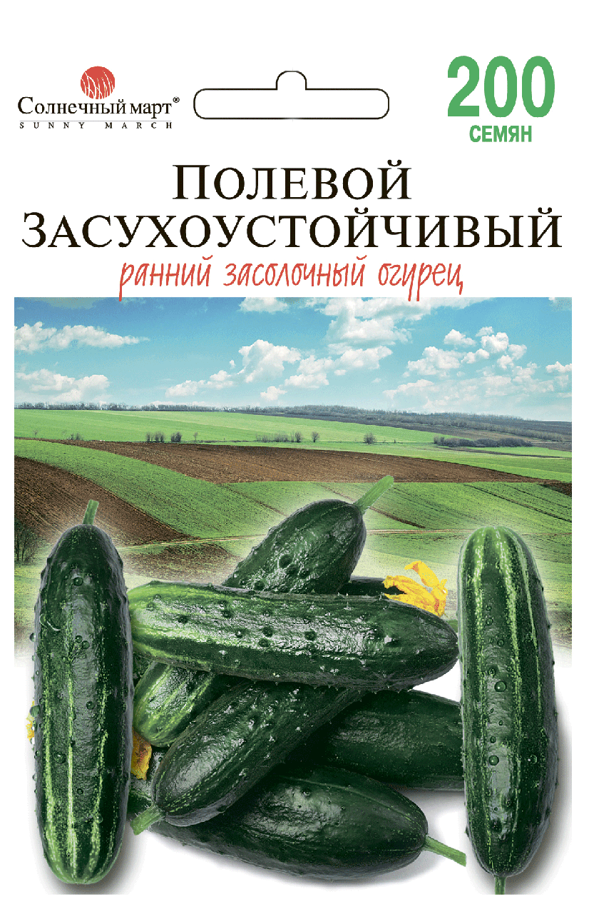 

Семена Огурец пчелоопыляемый Полевой Засухоустойчивый 200 семян Солнечный Март