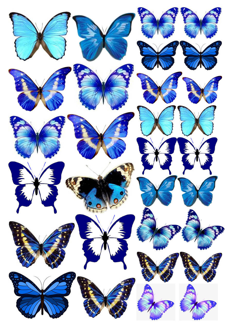 

Вафельная картинка "Бабочки" 28