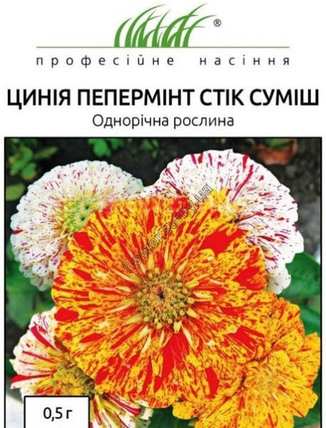 

Семена Цинния майоры Пеперминт стик смесь 0,5 грамма Hem Zaden, Разные цвета