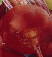 

Семена свеклы столовой "Борщевая кубанская"