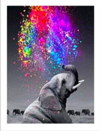 

Картина алмазами Даймонд Красочный слон 30*40 1шт (0200)