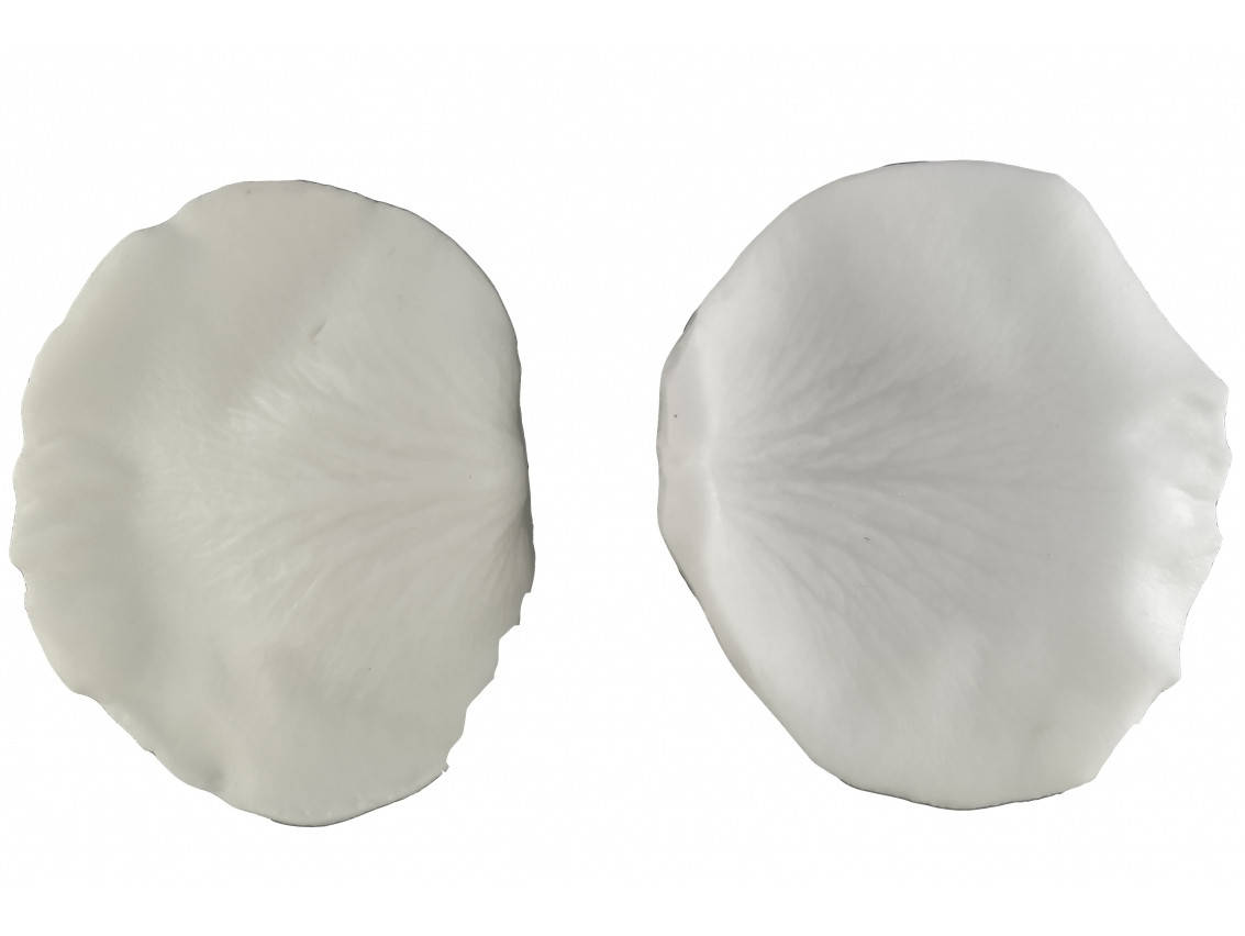 

Вайнер Лепесток Розы средний