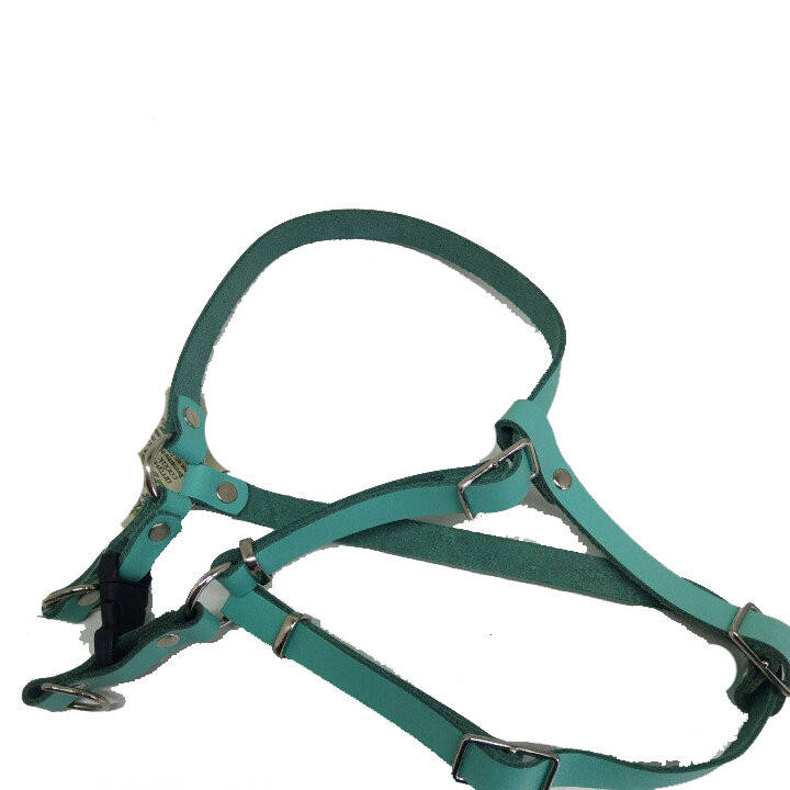 

Шлейка кожаная для малых пород собак Весна